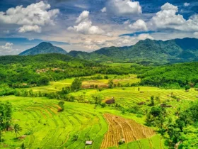 Keadaan Alam Indonesia: Gambaran Lengkap Geografi, Iklim, dan Kekayaan Alam