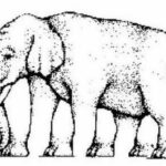 Jelaskan Yang Secara Efektif: Panduan Lengkap Agar Mudah Dipahami